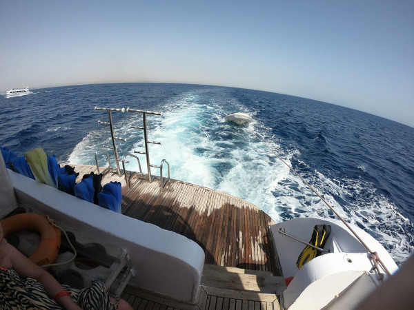 Dolphin House Hurghada